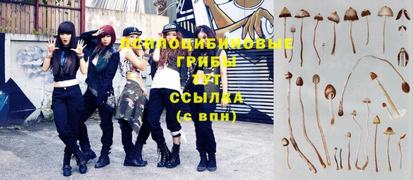 винт Абдулино