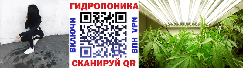 где купить   Фокино  Конопля OG Kush 